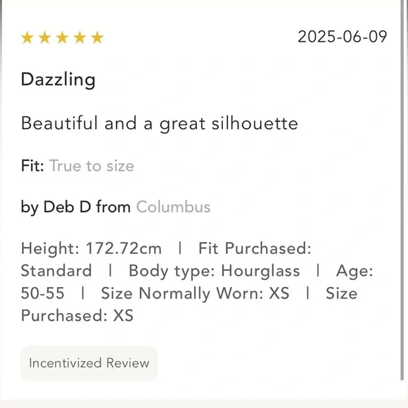 🎉SUPER RARE🎉 Anthropologie NWT MISHA Matilda Sequin Maxi Dress size L. - Picture 12 of 12